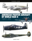 Image for American fighter aircraft of World War II