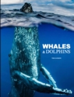 Image for Whales &amp; Dolphins
