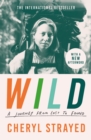 Image for Wild  : a journey from lost to found