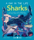 Image for Sharks  : what do great whites, hammerheads, and whale sharks get up to all day?