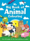 Image for My Big Book of Animal Colouring