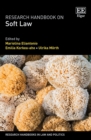 Image for Research Handbook on Soft Law