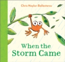 Image for When the Storm Came
