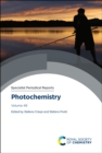 Image for Photochemistry