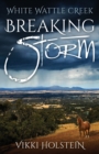 Image for Breaking Storm