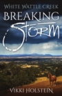 Image for Breaking Storm