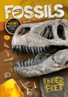 Image for Fossils