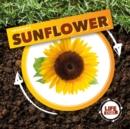 Image for Life cycle of a sunflower