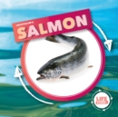 Image for Life Cycle Of A Salmon