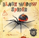 Image for Black Widow Spider