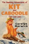 Image for The Amazing Adventures of Kit and Caboodle: Two Cool Cats