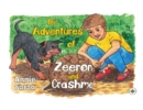 Image for The Adventures of Zeeron and Crash
