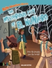 Image for Maths Adventure Stories: The Mysterious City of El Numero