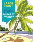 Image for Large Print Calm Colour by Numbers