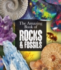 Image for The amazing book of rocks &amp; fossils