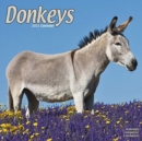 Image for Donkeys 2021 Wall Calendar
