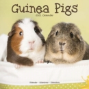 Image for Guinea Pigs 2021 Wall Calendar