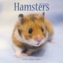 Image for Hamsters 2021 Wall Calendar