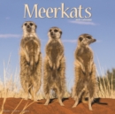 Image for Meerkats 2021 Wall Calendar
