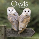 Image for Owls 2021 wall Calendar