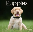 Image for Puppies 2021 Wall calendar