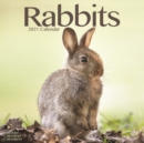 Image for Rabbits 2021 Wall Calendar