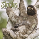 Image for Sloths 2021 Wall Calendar