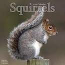 Image for Squirrels 2021 Wall Calendar