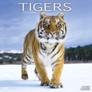 Image for Tigers 2021 Wall Calendar