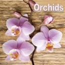 Image for Orchids 2021 wall Calendar