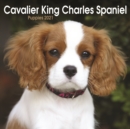 Image for Cavalier King Charles Spaniel Puppies Mini Square Wall Calendar 2021
