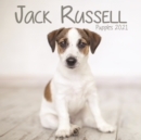 Image for Jack Russell Puppies Mini Square Wall Calendar 2021