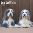 Image for Bearded Collie 2022 Wall Calendar