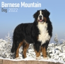 Image for Bernese Mountain Dog 2022 Wall Calendar