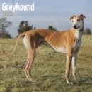 Image for Greyhound 2022 Wall Calendar