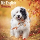 Image for Old English Sheepdog 2022 Wall Calendar