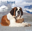 Image for Saint Bernard 2022 Wall Calendar