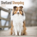 Image for Shetland Sheepdog 2022 Wall Calendar
