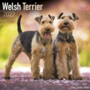 Image for Welsh Terrier 2022 Wall Calendar