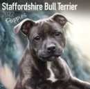 Image for Staffordshire Bull Terrier Puppies 2022 Wall Calendar