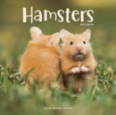 Image for Hamsters 2022 Wall Calendar
