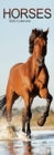 Image for Horses 2022 Slim Calendar