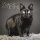 Image for Black Cats Square Wall Calendar 2022