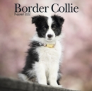 Image for Border Collie Puppies Mini Square Wall Calendar 2022