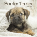 Image for Border Terrier Puppies Mini Square Wall Calendar 2022