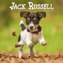 Image for Jack Russell Puppies Mini Square Wall Calendar 2022