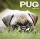 Image for Pug Puppies Mini Square Wall Calendar 2022