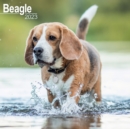 Image for Beagle 2023 Wall Calendar