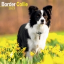 Image for Border Collie 2023 Wall Calendar