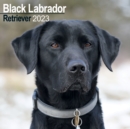 Image for Black Labrador Retriever 2023 Wall Calendar